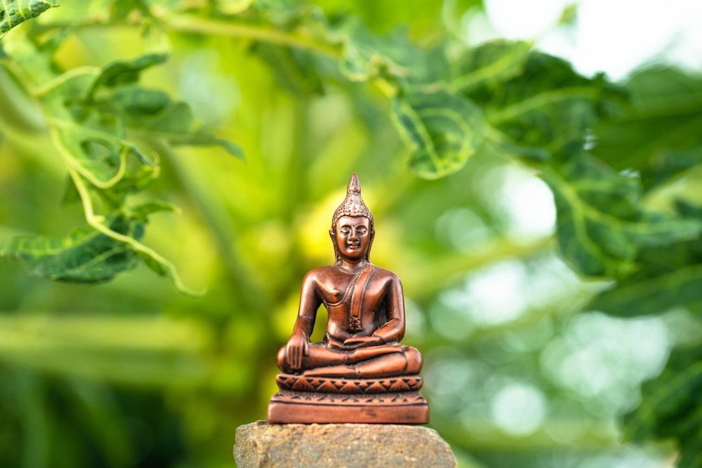 Figura de Buda de oro sobre roca marrón