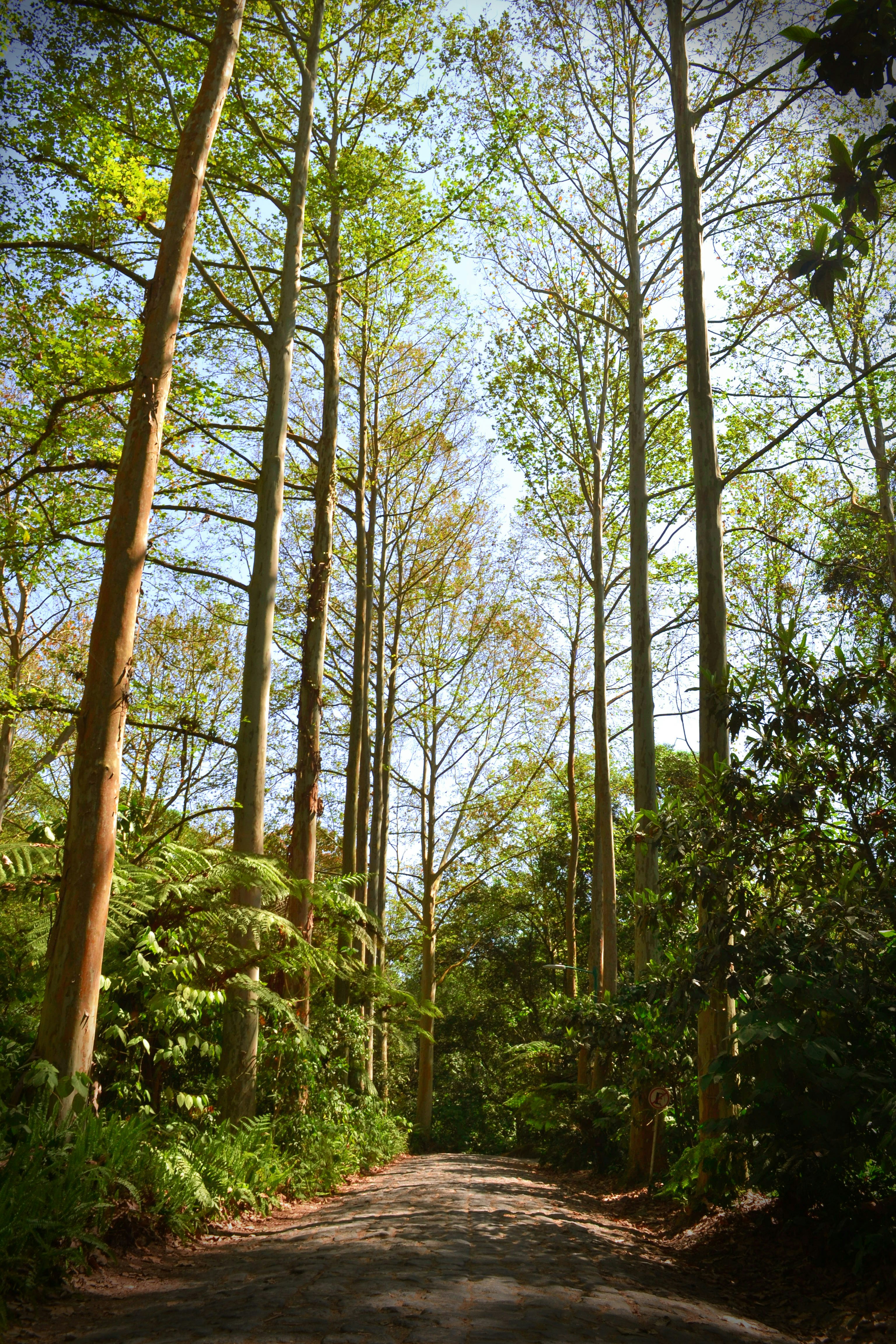 Photo by nacho_velmont