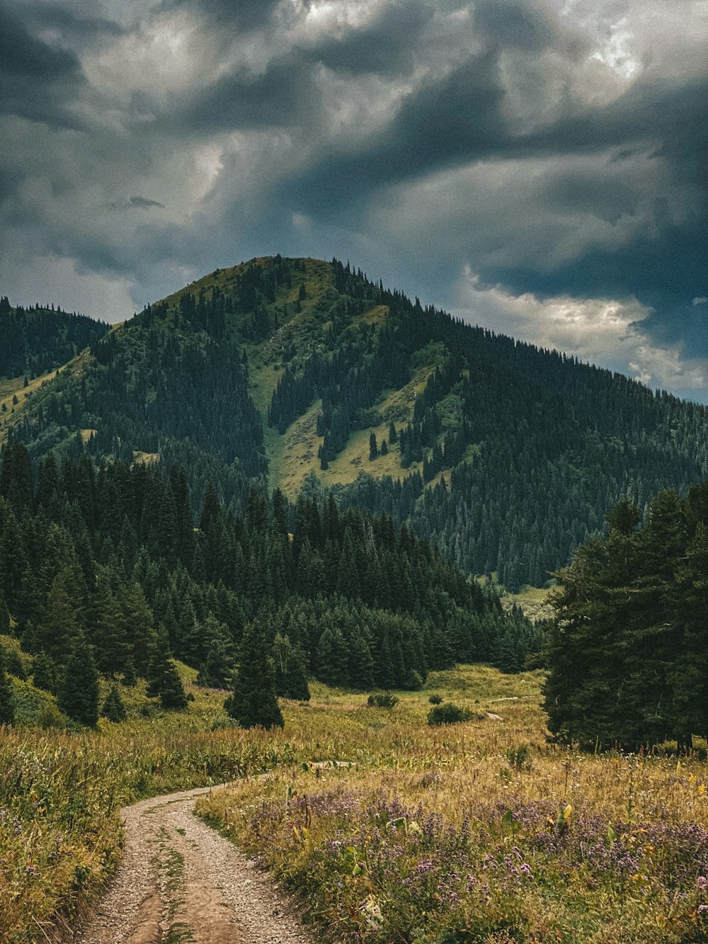 green trees on brown grass field near mountain under cloudy sky during daytime