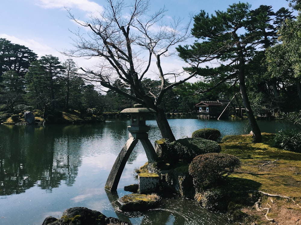 body of water near trees during daytime