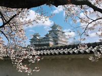 Best Pet-Friendly Hotels and Stays in Himeji for Travelers With Furry Companions