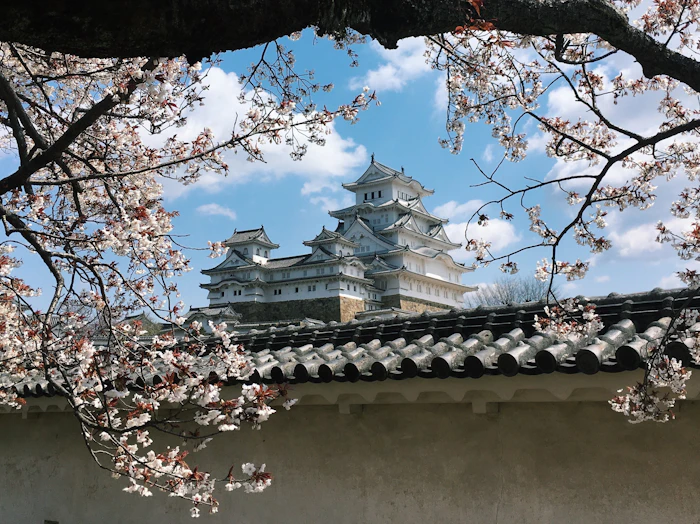 Best Pet-Friendly Hotels and Stays in Himeji for Travelers With Furry Companions