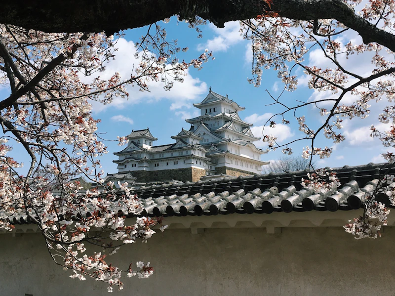 Best Pet-Friendly Hotels and Stays in Himeji for Travelers With Furry Companions