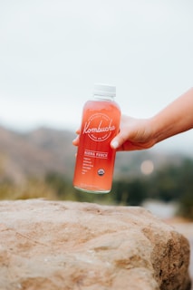A hand holding a bottle of Kombucha labeled 'Aloha Punch'. The bottle is held over a large rock, with an outdoor, blurry background indicating nature or a scenic view.