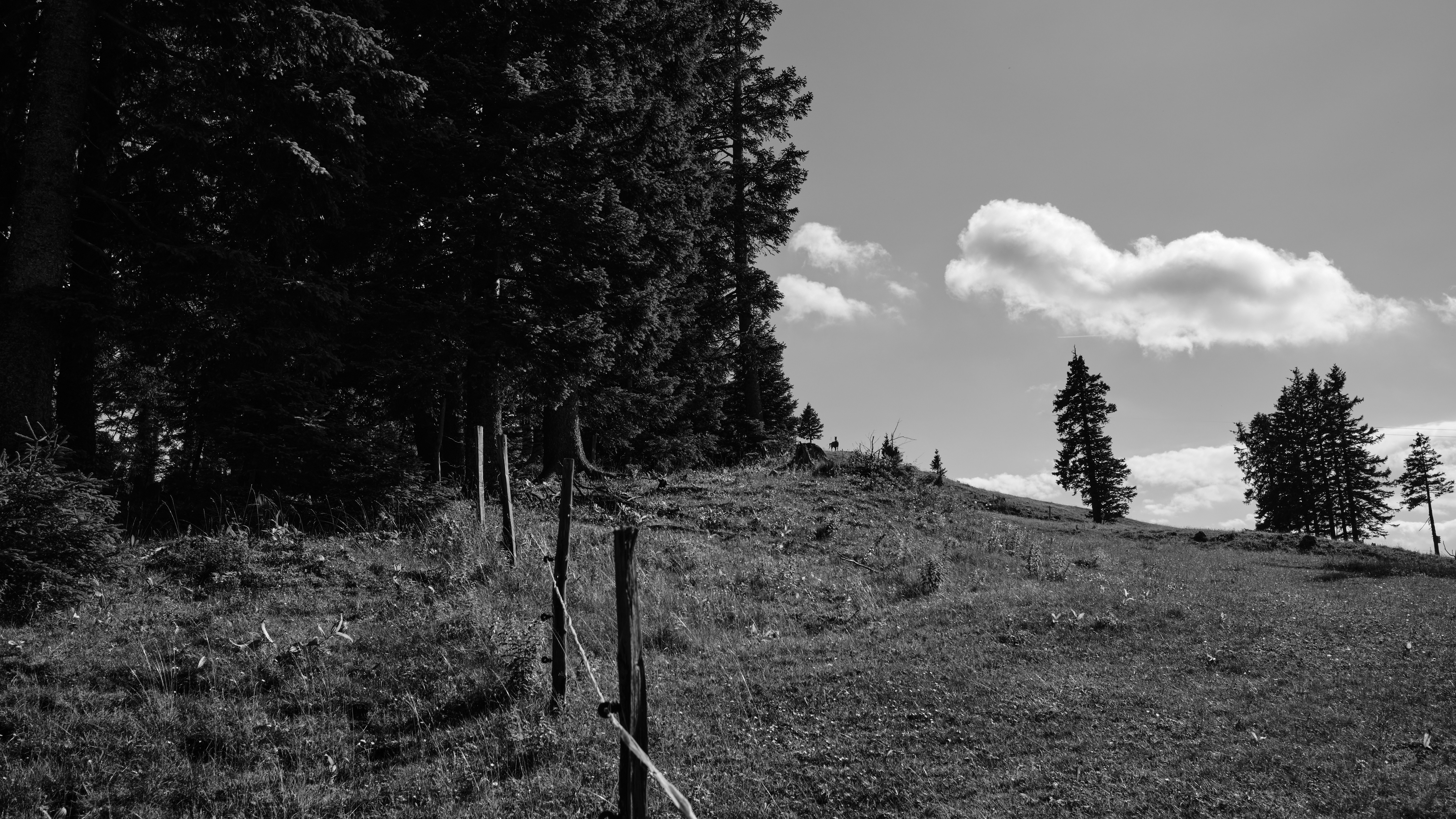 Photo by kristjankotar