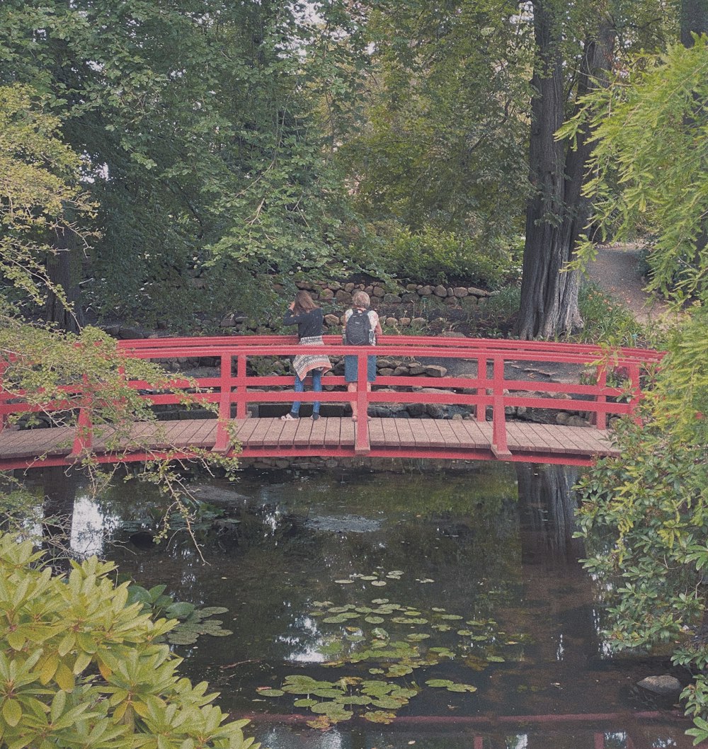 people sitting on red wooden bench near river during daytime