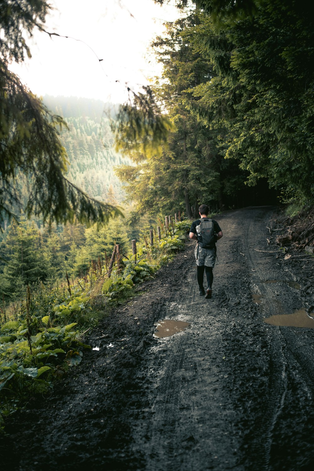 man in black jacket and black pants walking on gray pathway between green trees during daytime