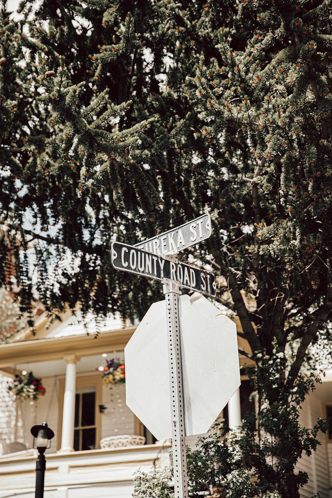 white and black street sign