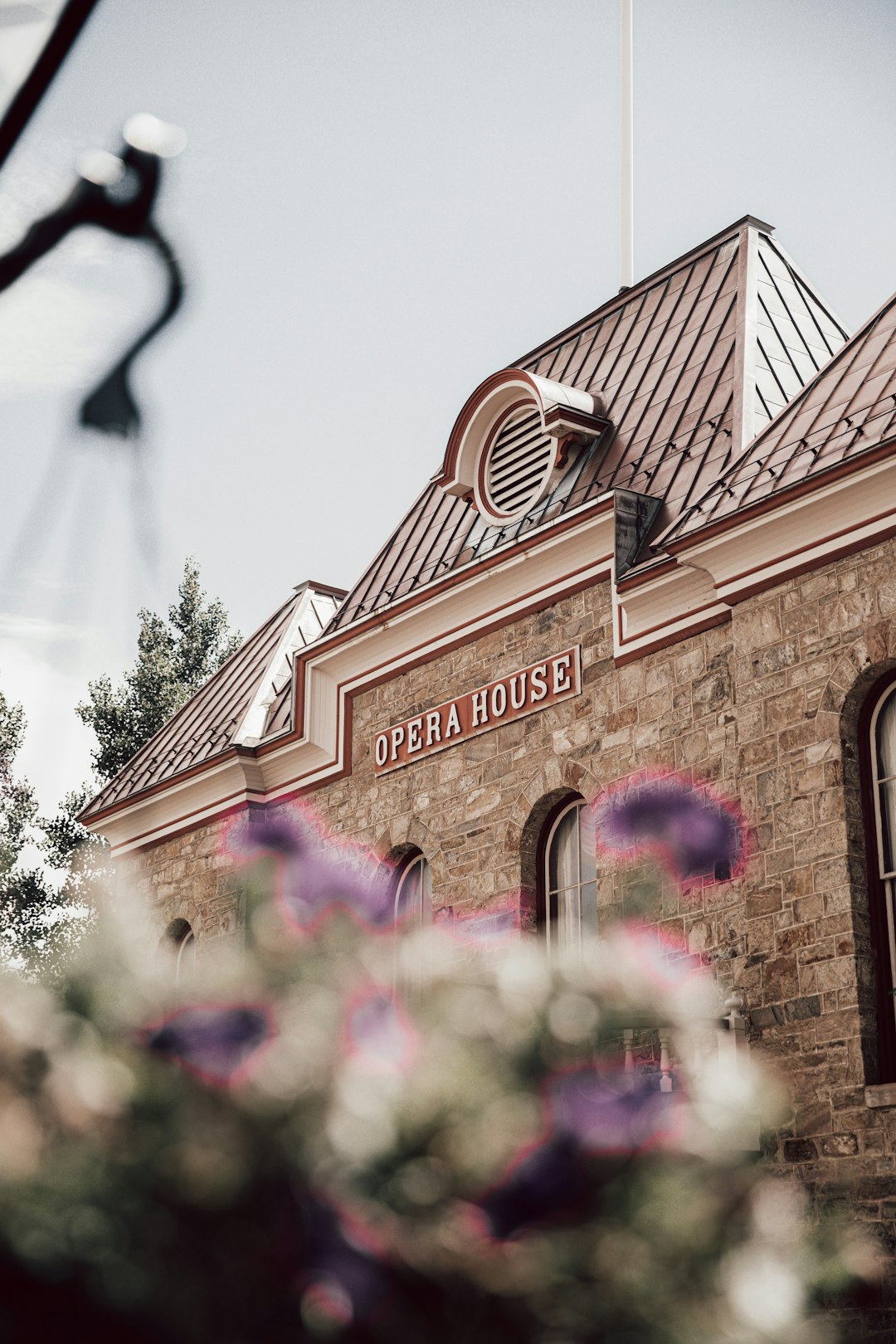 brown brick building with purple flowers