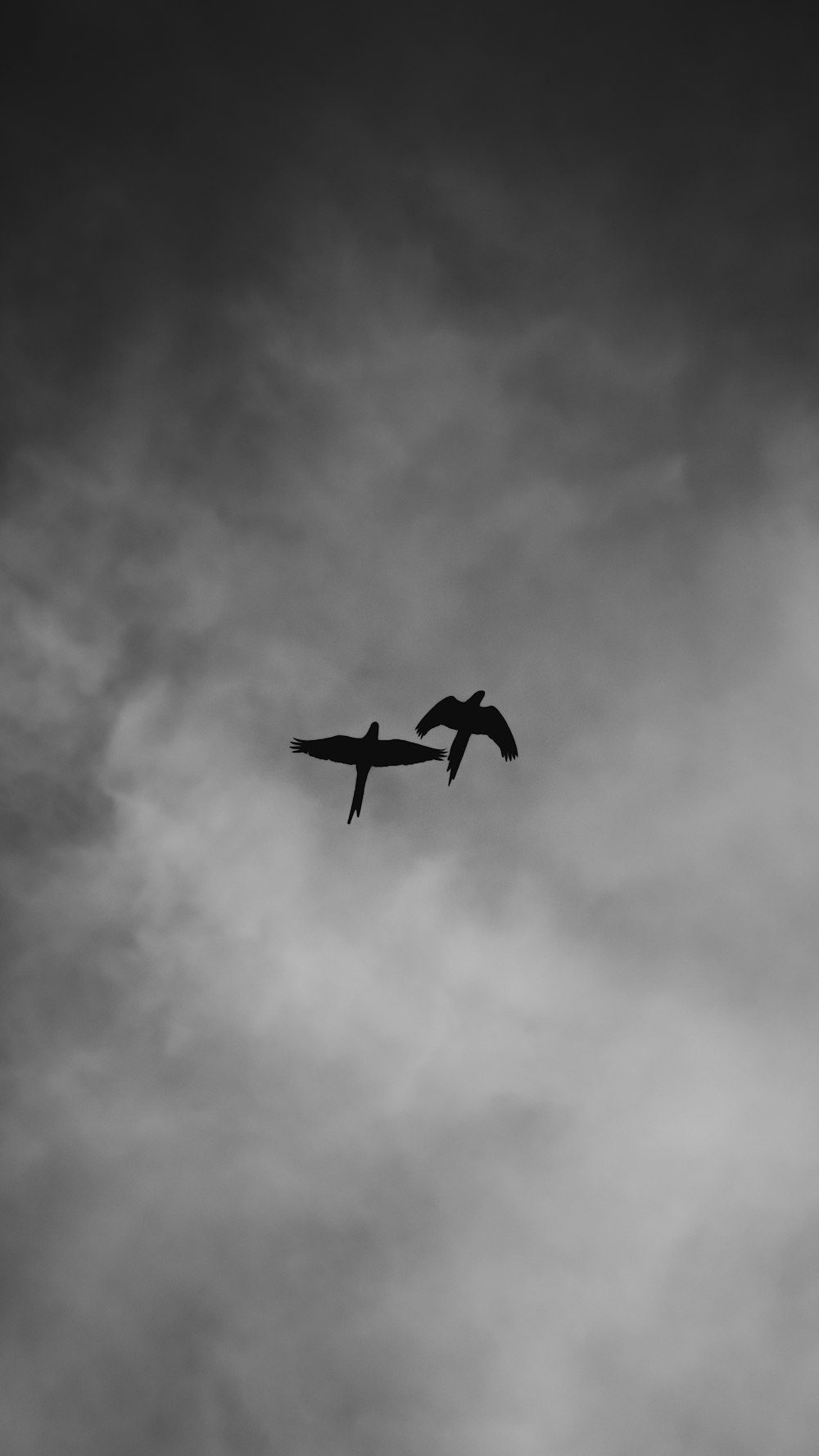 grayscale photo of airplane in mid air