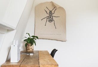 spider on white pillow on brown wooden table