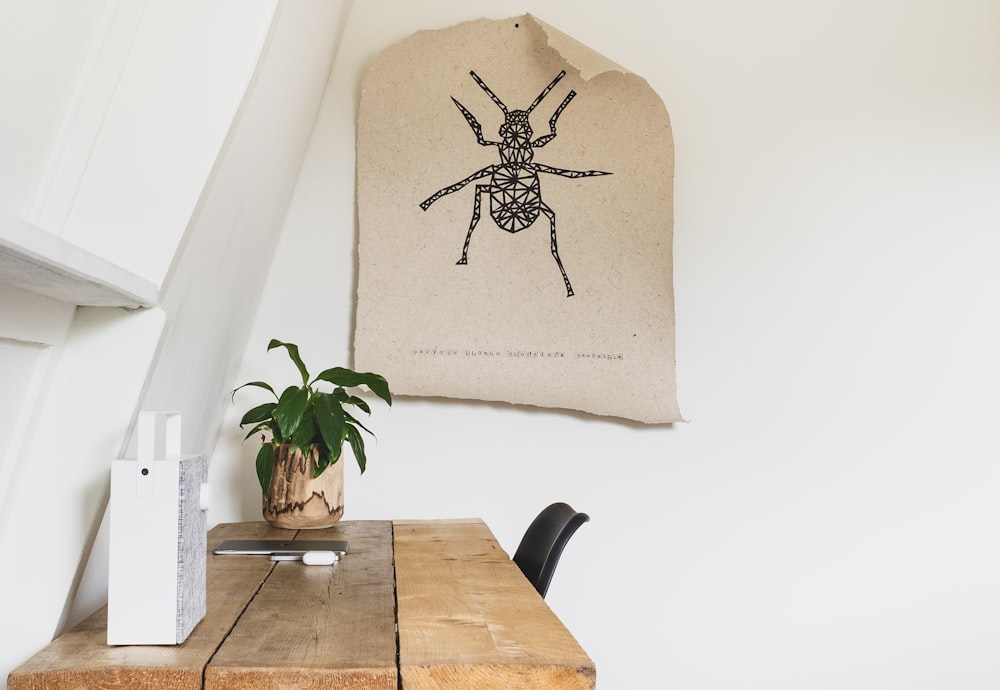 spider on white pillow on brown wooden table