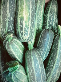 green and yellow cucumber lot
