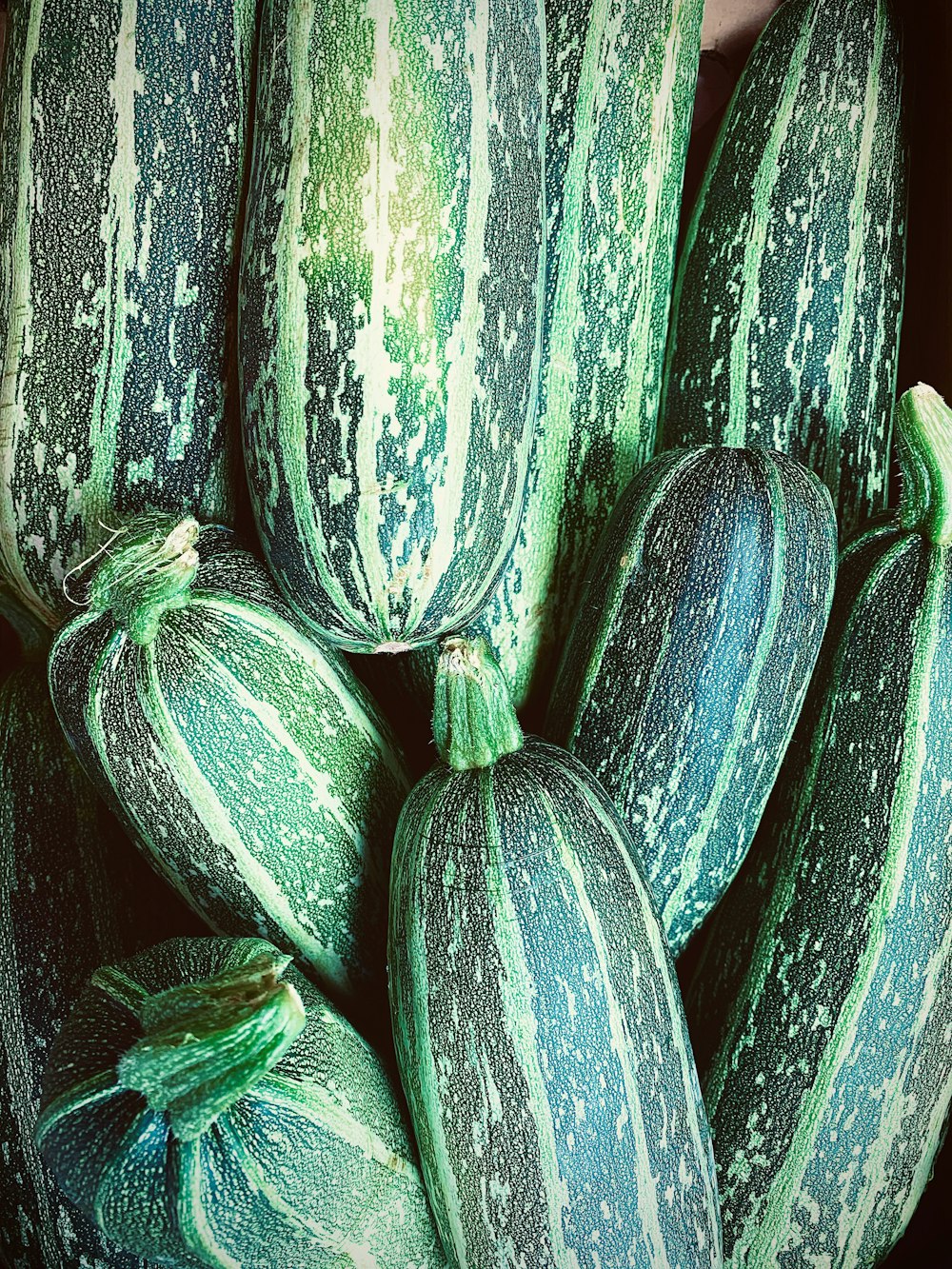 green and yellow cucumber lot