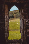 green grass field under gray concrete arch
