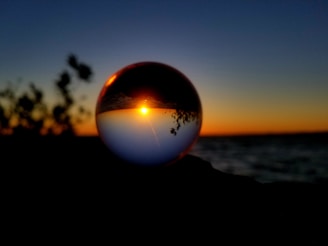 silhouette of trees and body of water during sunset