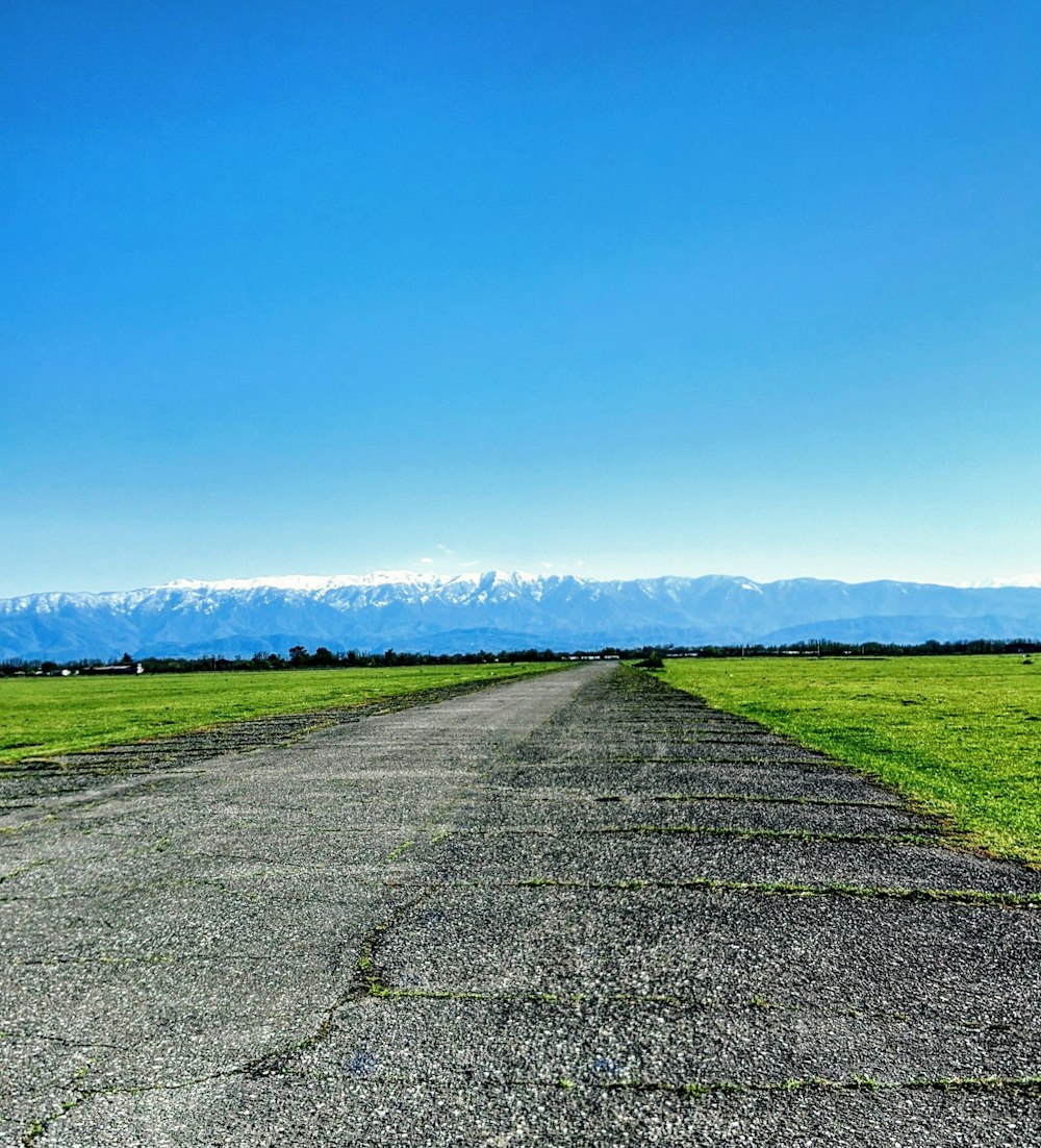 gray concrete road between green grass field under blue sky during daytime