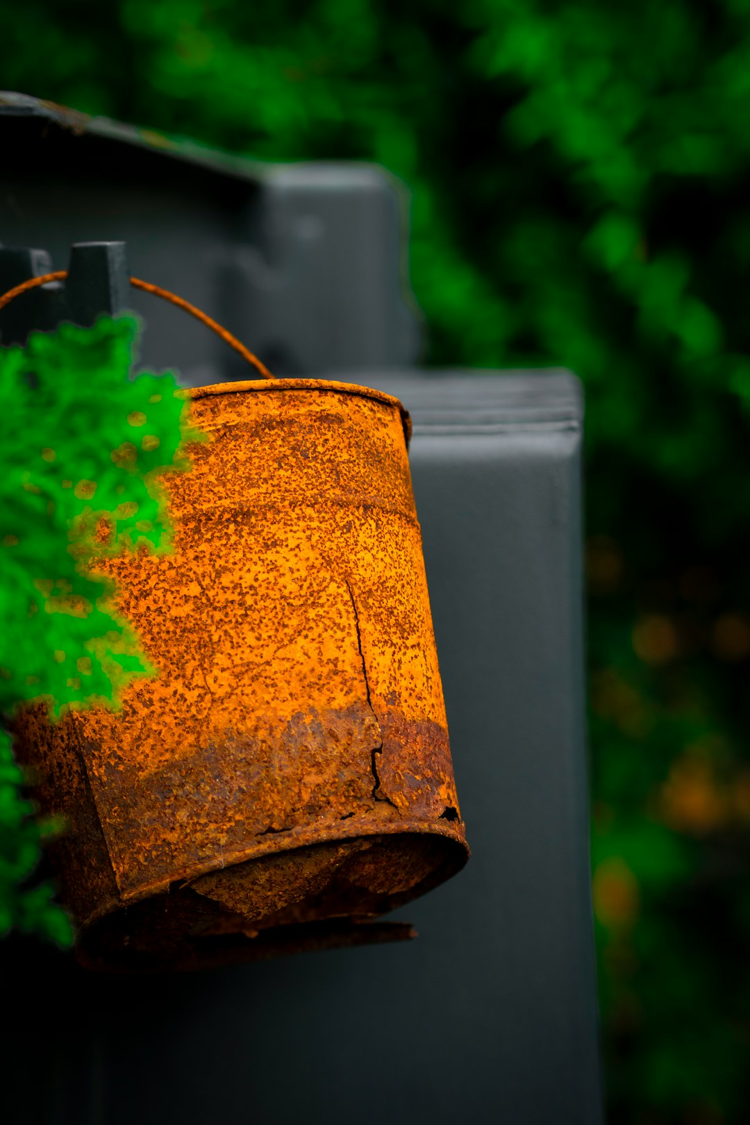 brown plant pot with green leaves