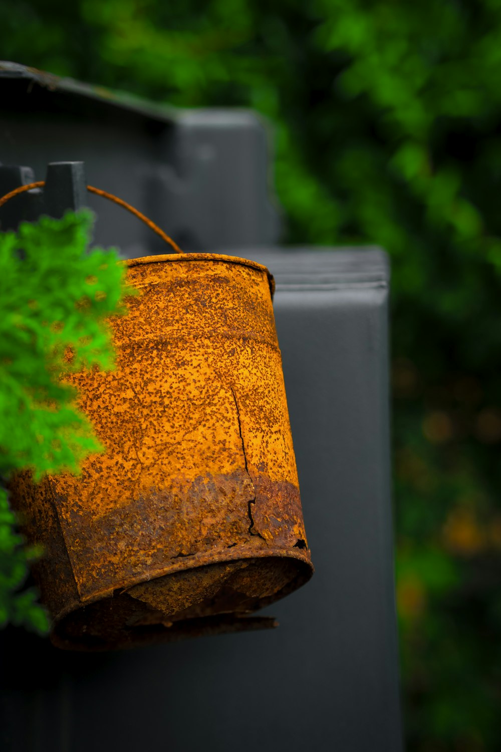 brown plant pot with green leaves