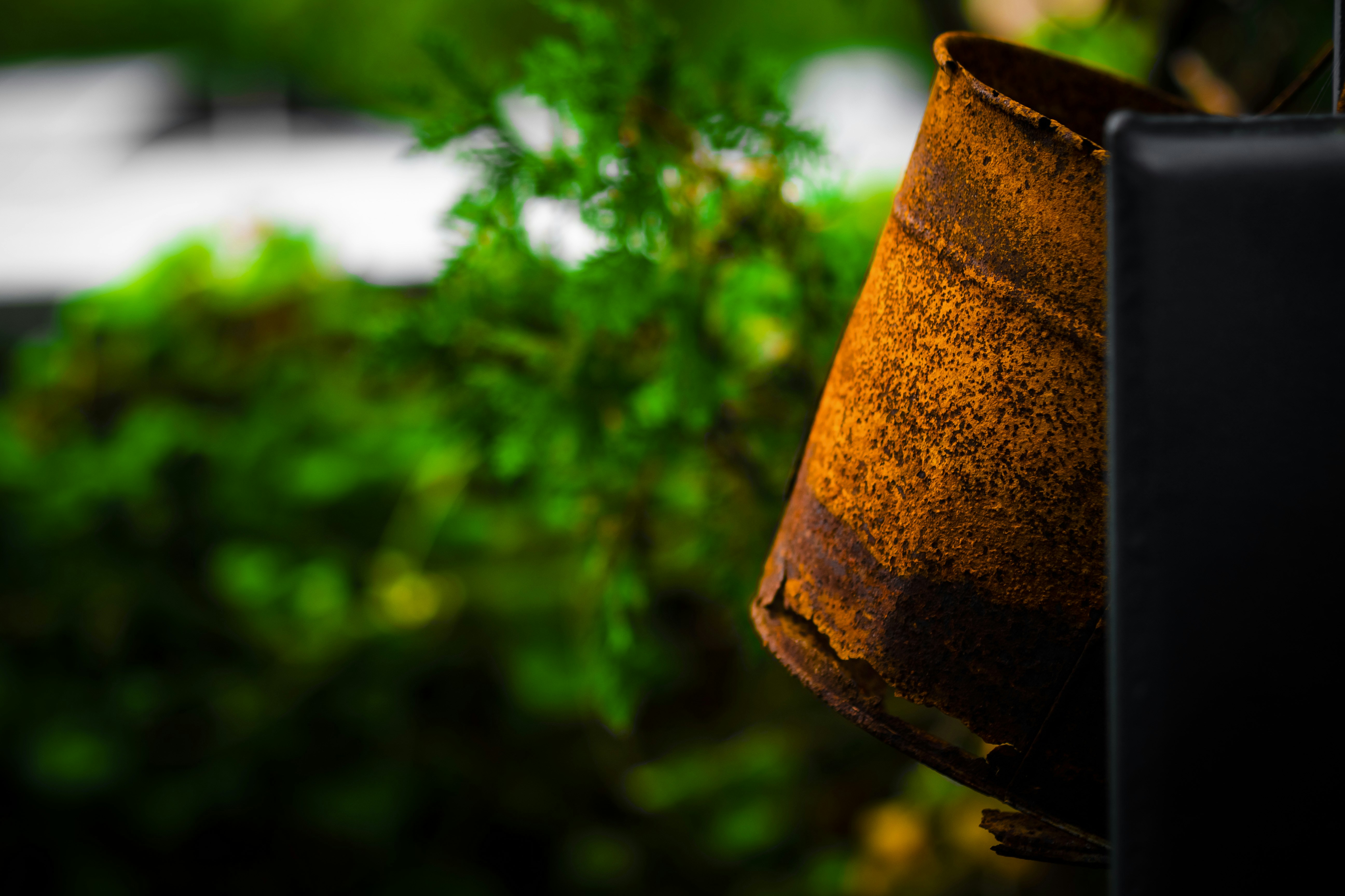 Photo by pedrotheartist