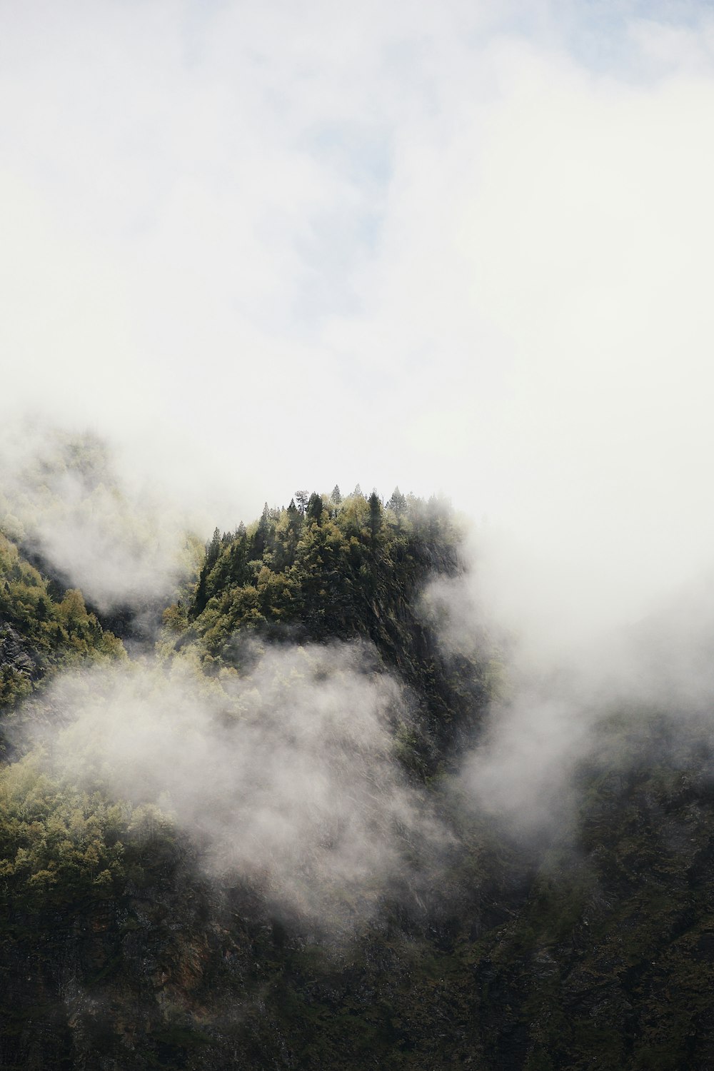 green trees on mountain under white clouds during daytime