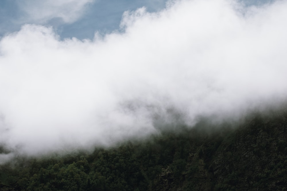 green trees under white clouds during daytime