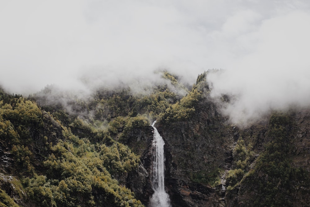 waterfalls in the middle of forest