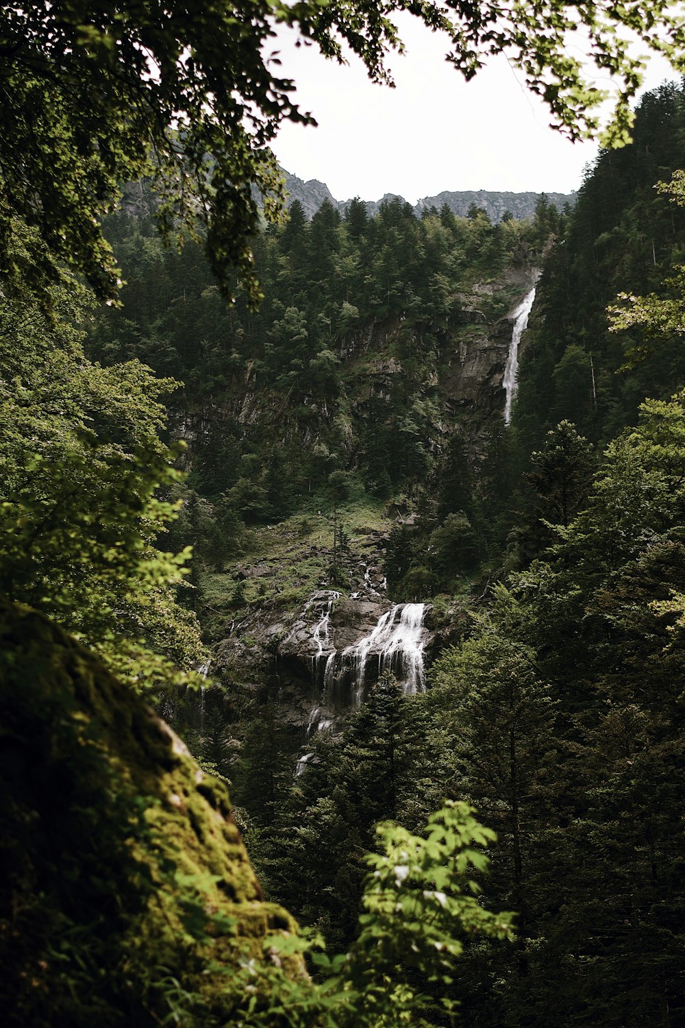 waterfalls in the middle of green trees