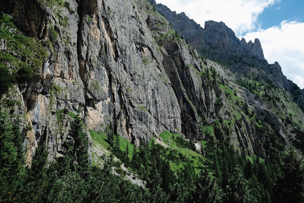 green trees on rocky mountain during daytime