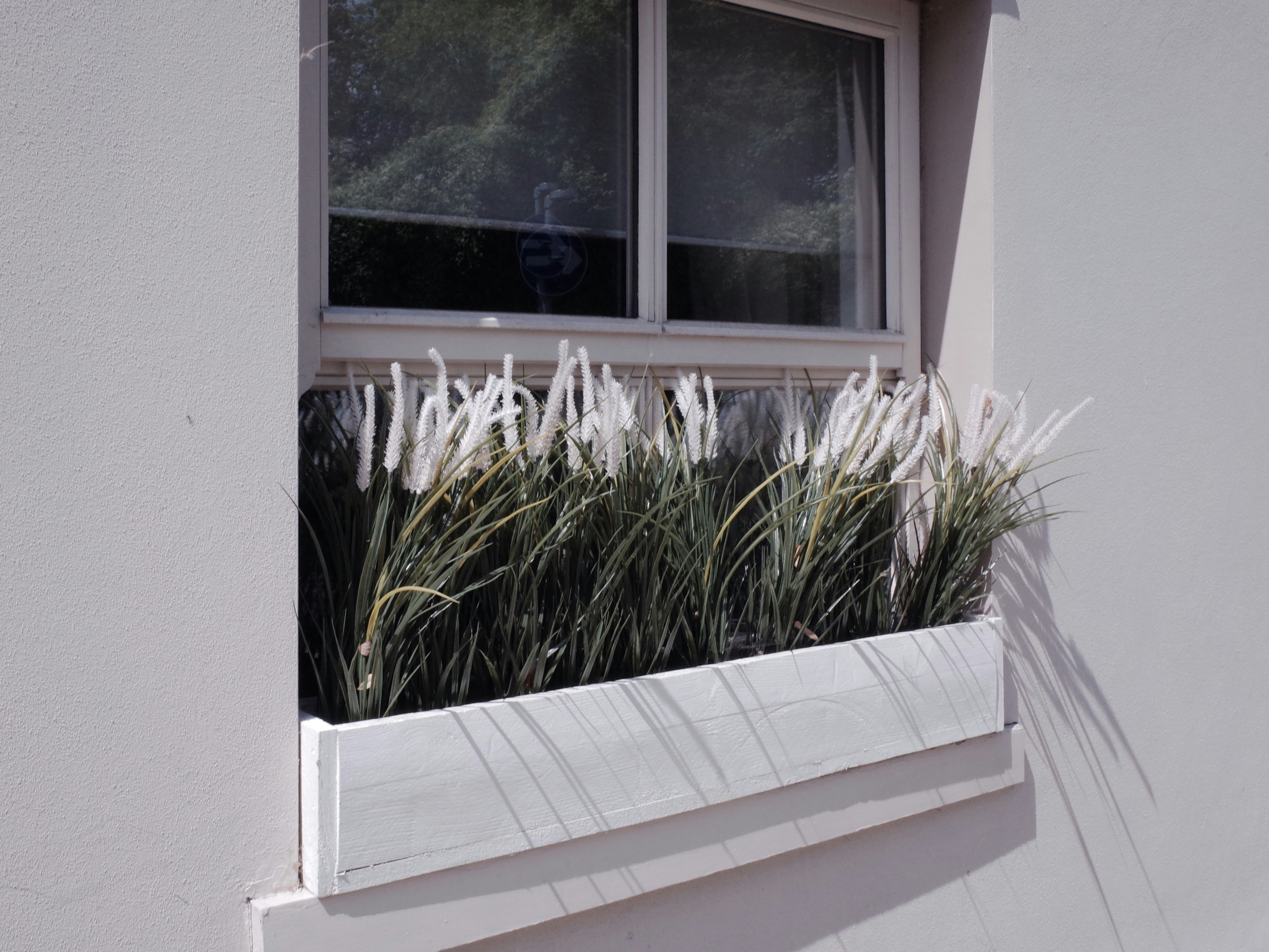 Clean white wooden framed glass window letting in natural sunlight