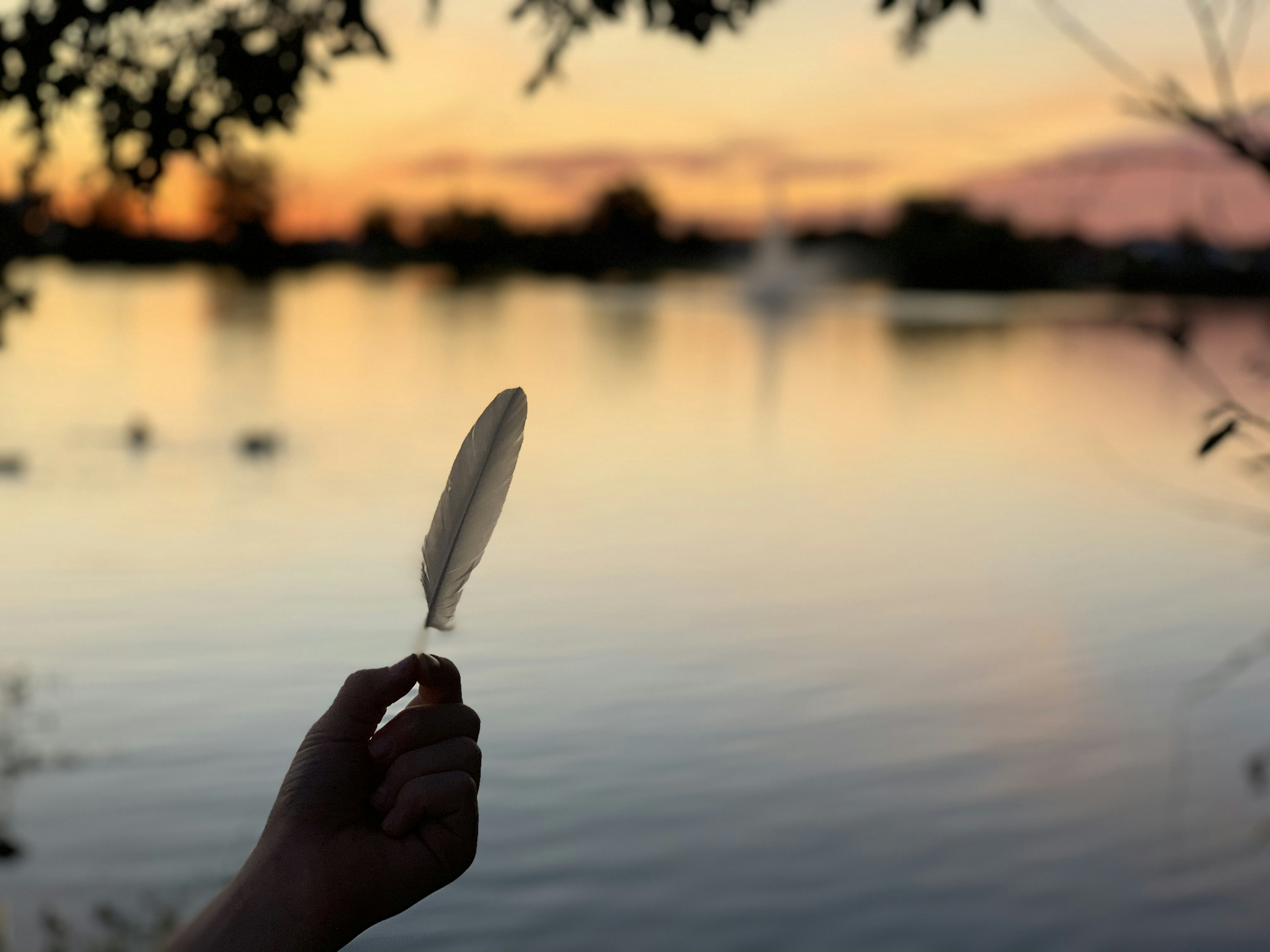 person holding white feather during sunset
