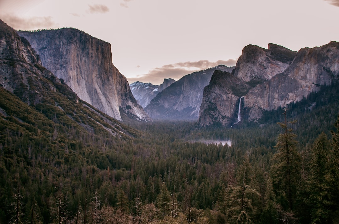 Yosemite Insider: Local Tips for an Unforgettable National Park Adv… — Yosemite Insider