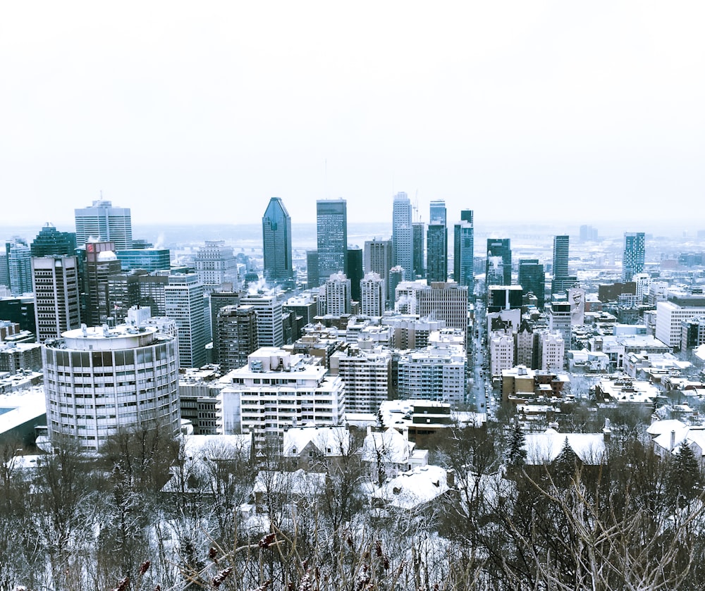 city skyline under white sky during daytime