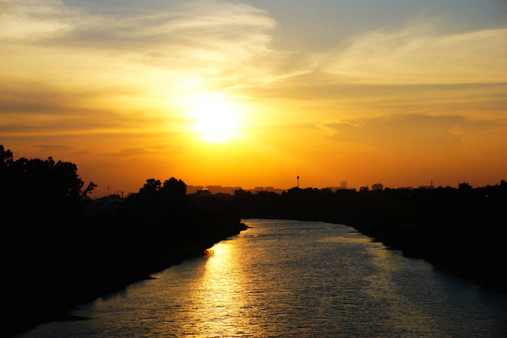 silhueta de árvores perto do corpo de água durante o pôr do sol