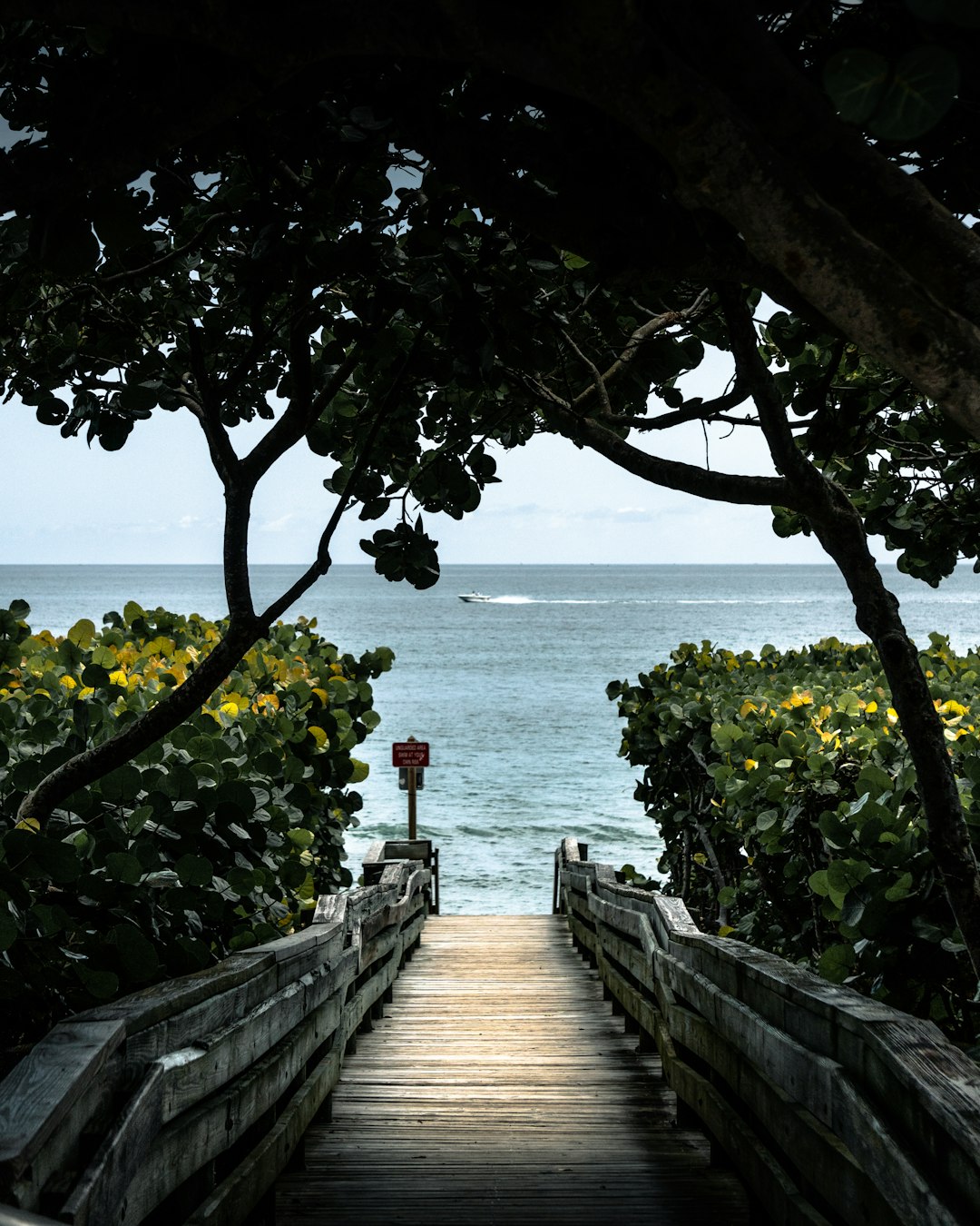 brown wooden dock near body of water during daytime