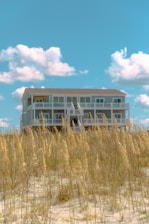 A large, white beach house elevated on stilts sits behind a patch of tall, golden beach grass. The sky above is bright blue with a few fluffy white clouds scattered across.