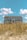 A large, white beach house elevated on stilts sits behind a patch of tall, golden beach grass. The sky above is bright blue with a few fluffy white clouds scattered across.