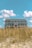 A large, white beach house elevated on stilts sits behind a patch of tall, golden beach grass. The sky above is bright blue with a few fluffy white clouds scattered across.