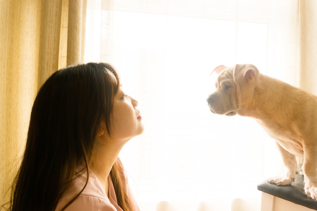 woman in white shirt beside white short coated dog