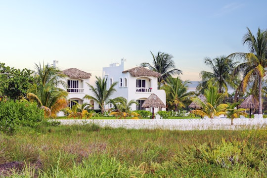 white and brown house surrounded by green grass field during daytime in Holbox Mexico