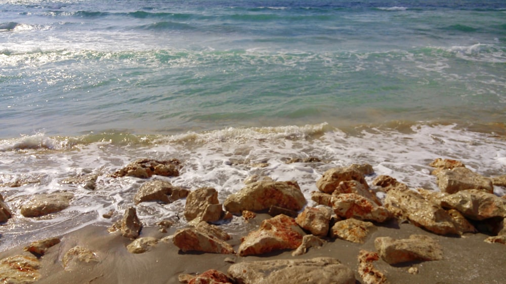 brown rocks on seashore during daytime