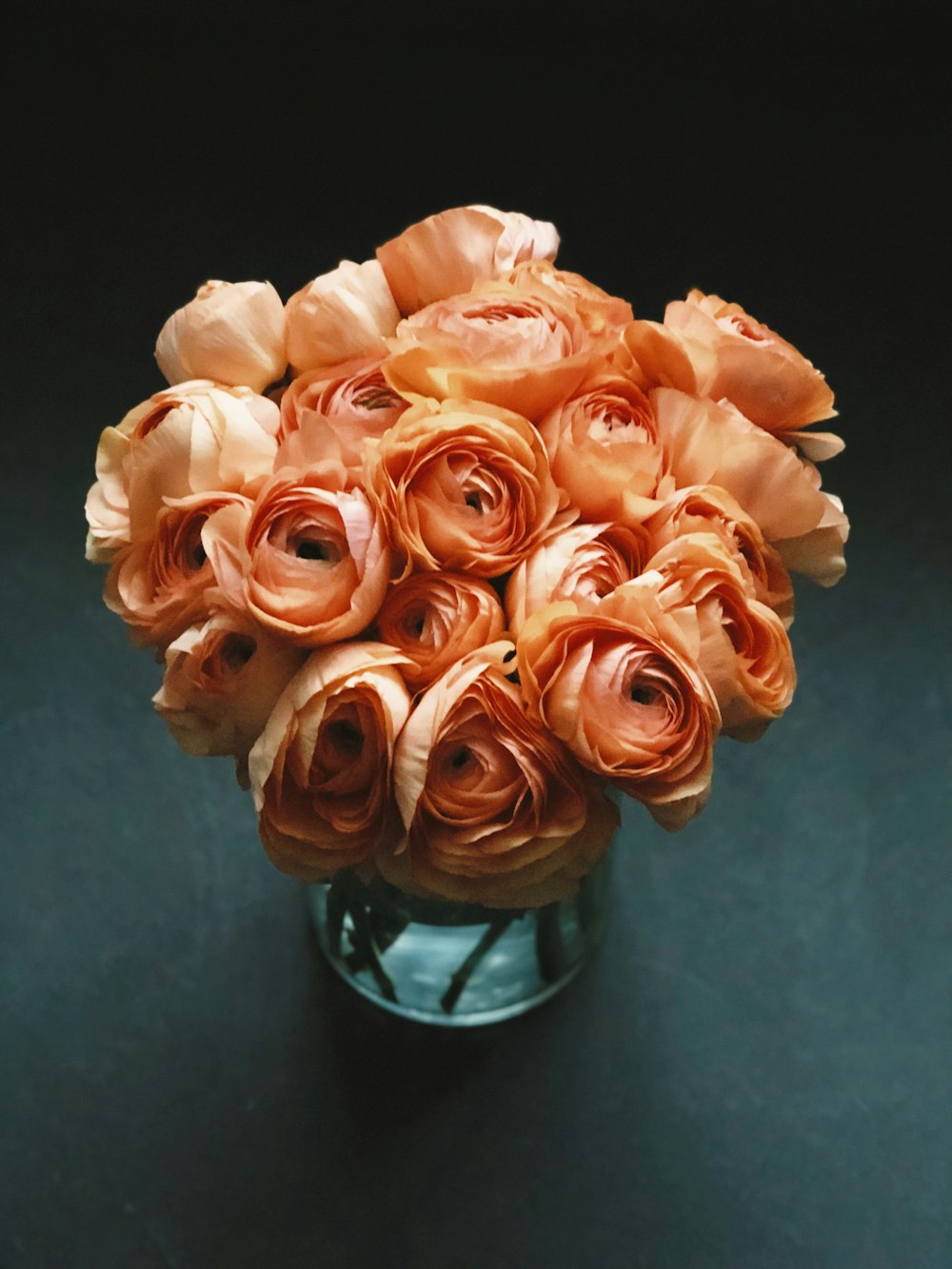 pink rose on clear glass vase