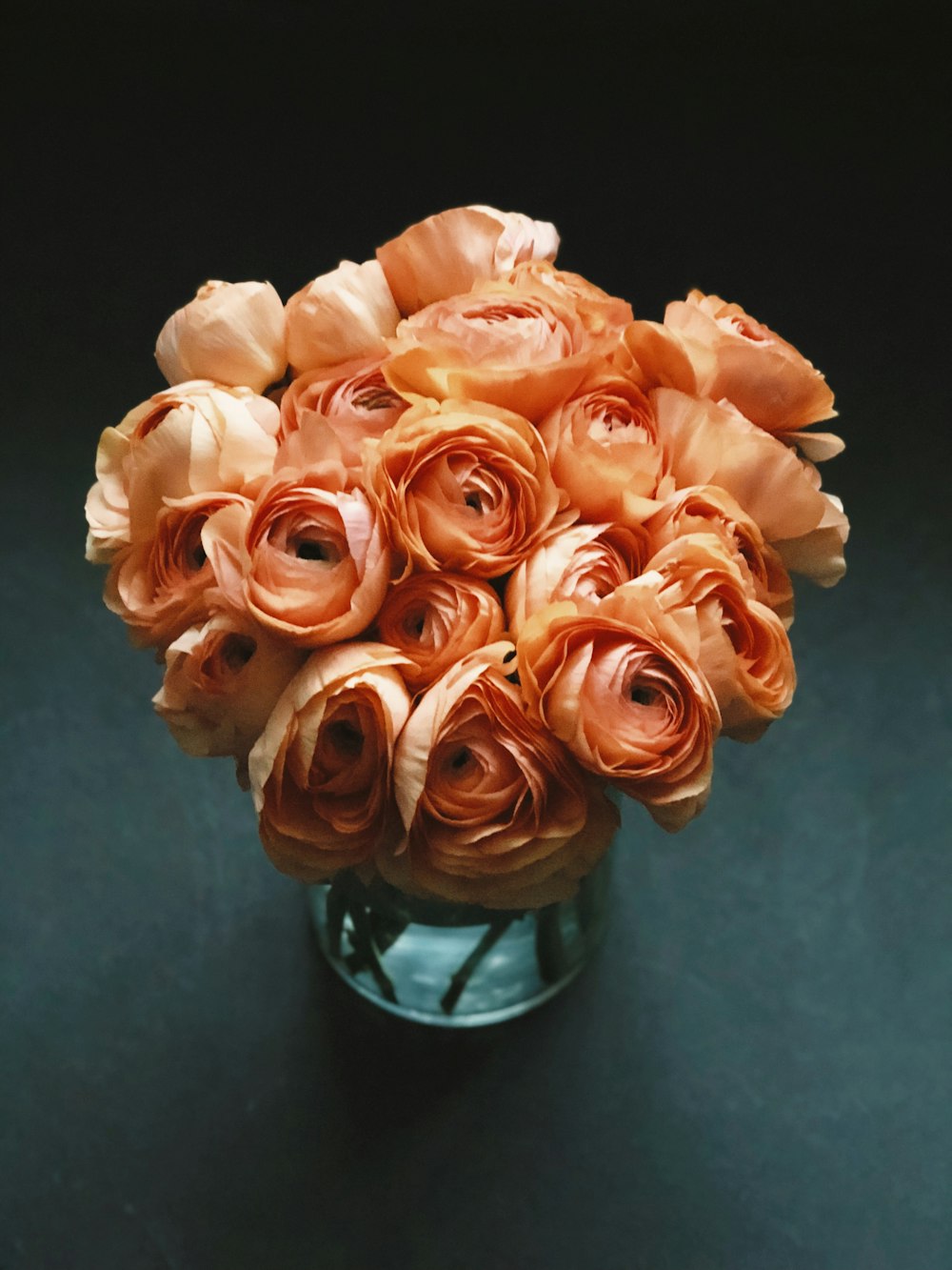 Rose rose sur vase en verre transparent