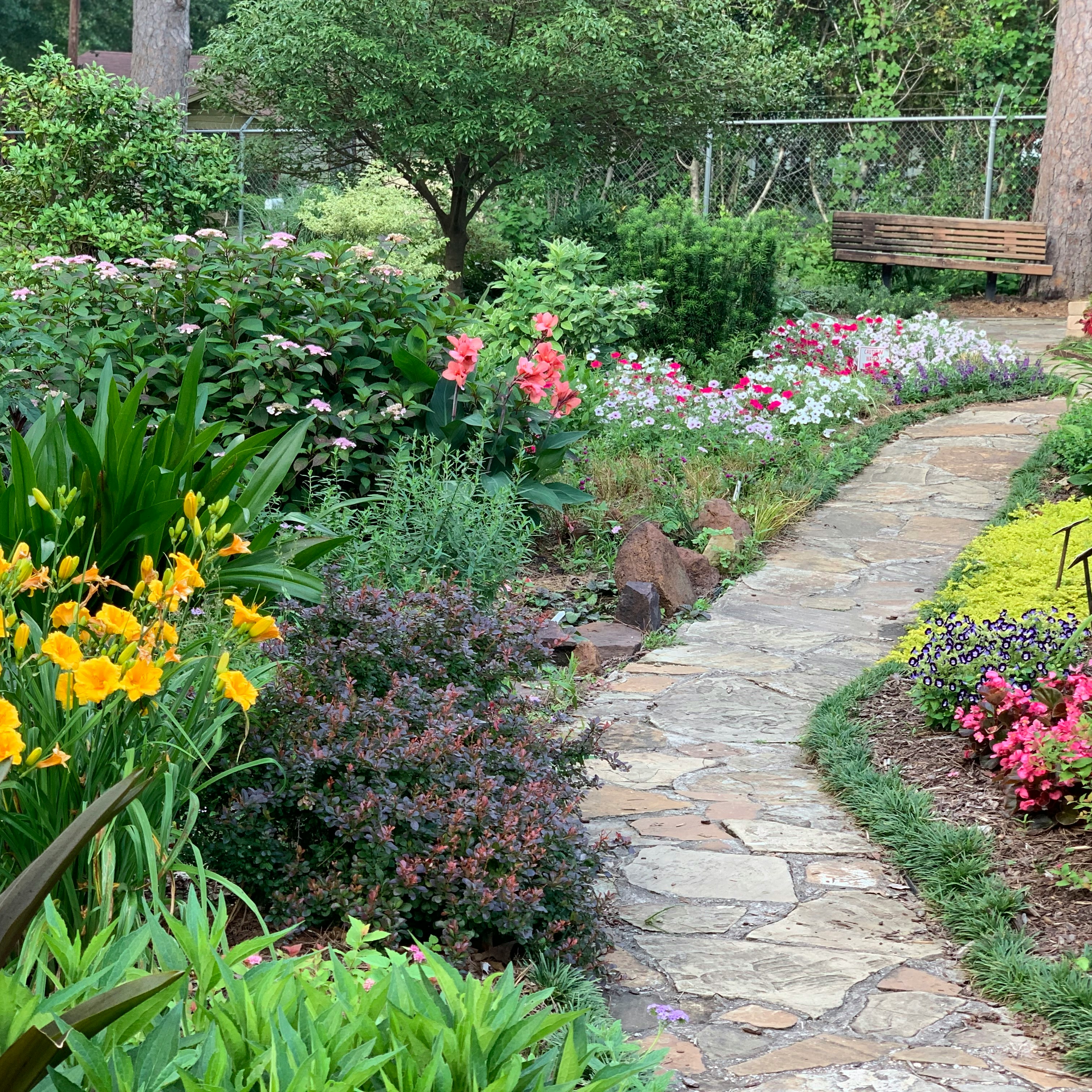 yellow and red flower garden