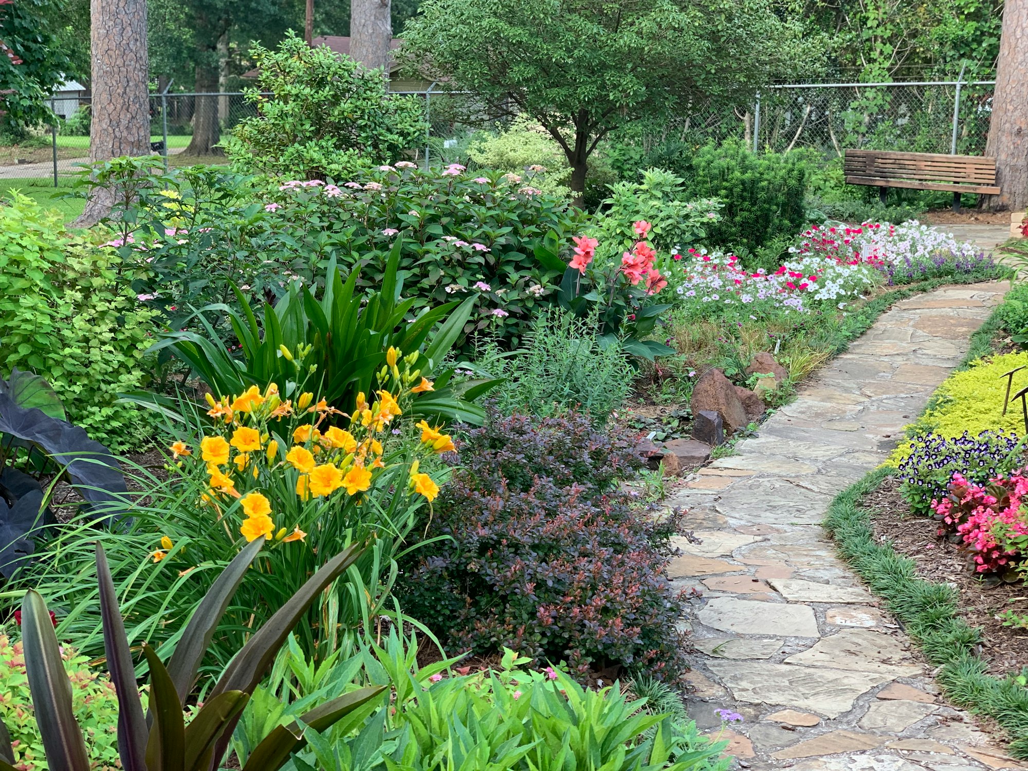 Garden stone pathway with greenery and flowers