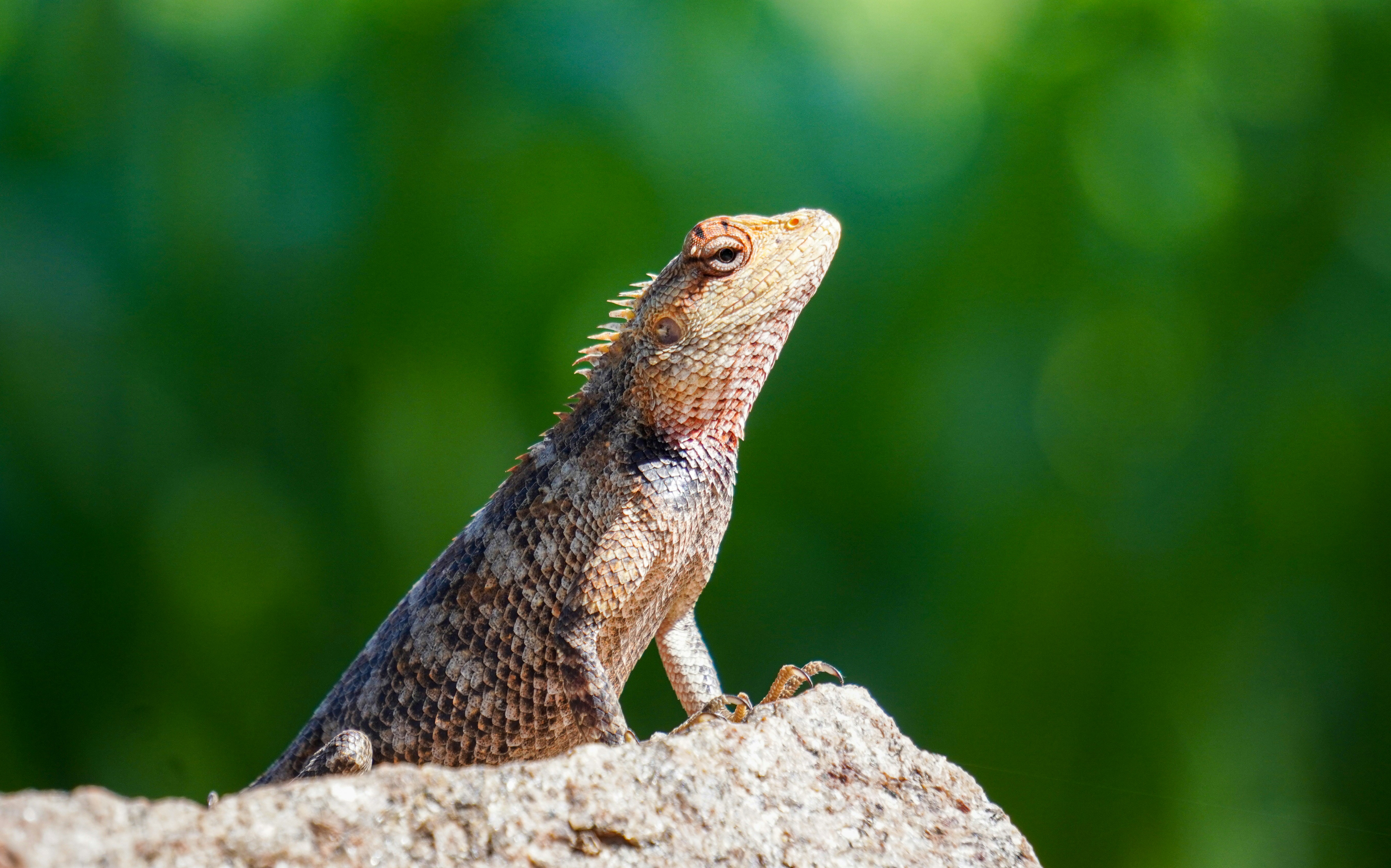 Photo by story_from_slowman