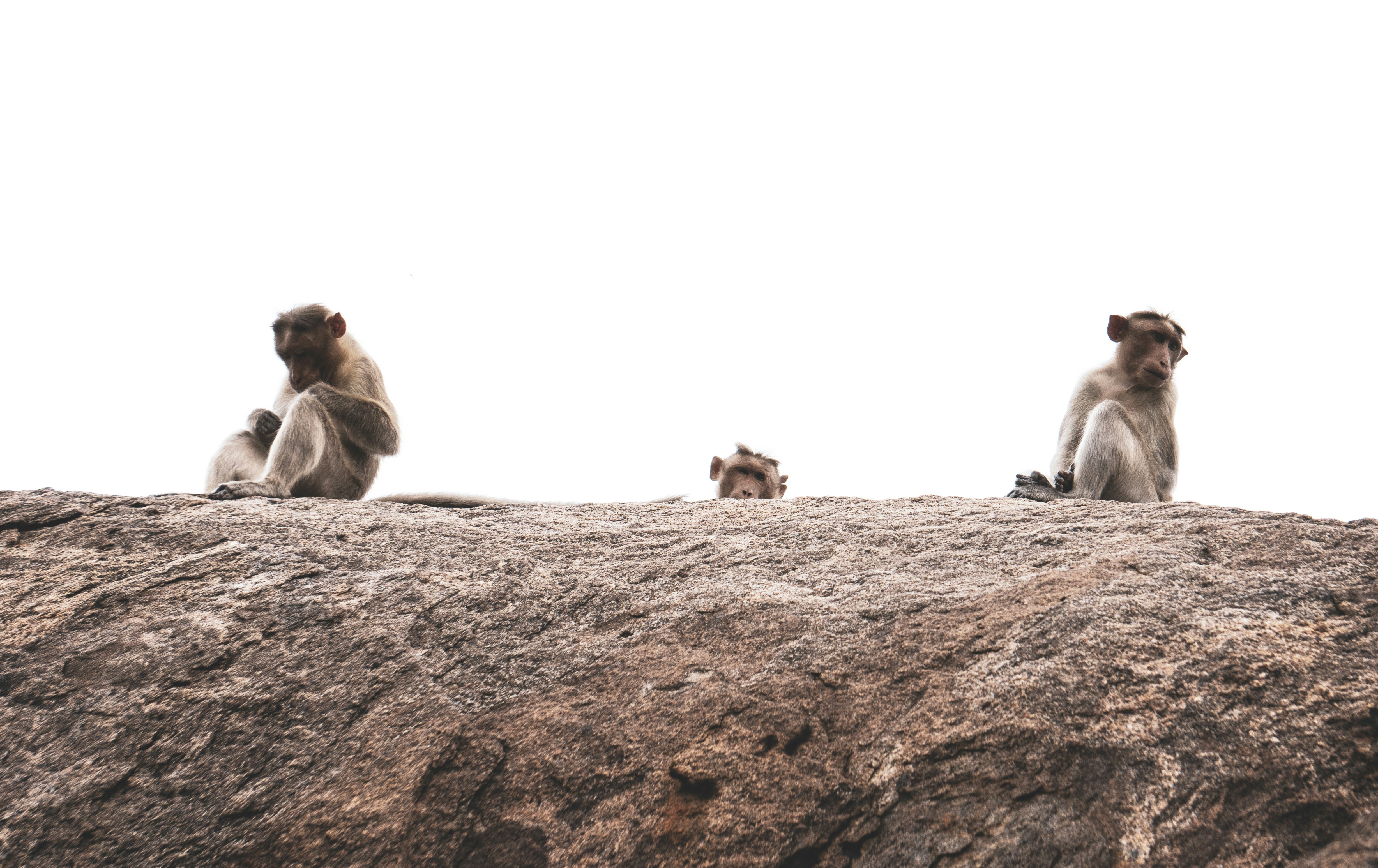 Photo by story_from_slowman