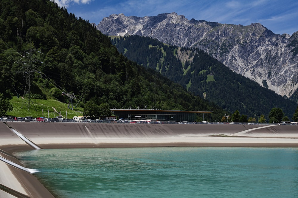 green trees near body of water during daytime