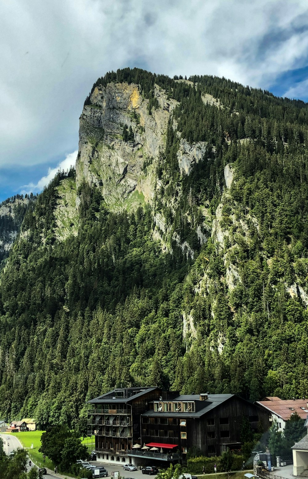 árboles verdes en la montaña bajo el cielo azul durante el día