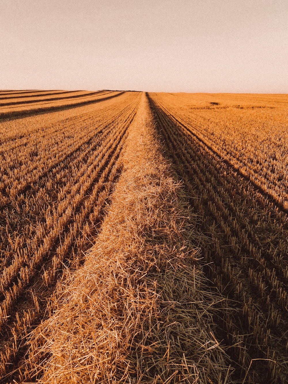 campo marrone sotto il cielo bianco durante il giorno